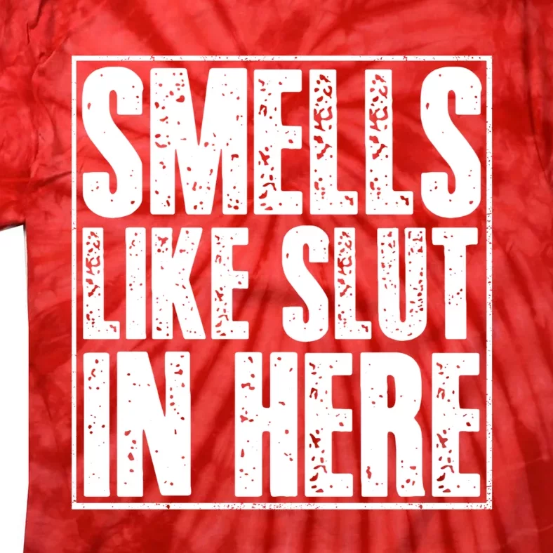 Offensive Funny Adult Humor, Smells Like Slut In Here Tie-Dye T-Shirt