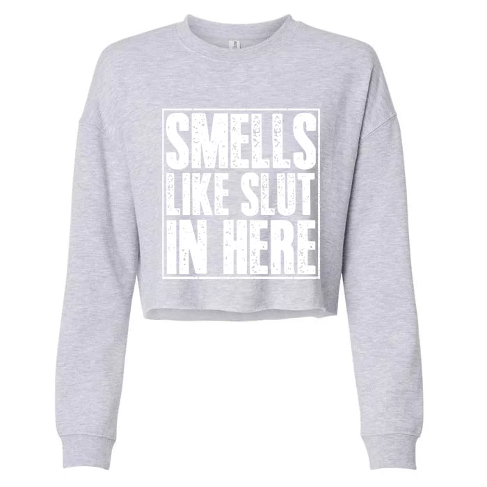 Offensive Funny Adult Humor, Smells Like Slut In Here Cropped Pullover Crew