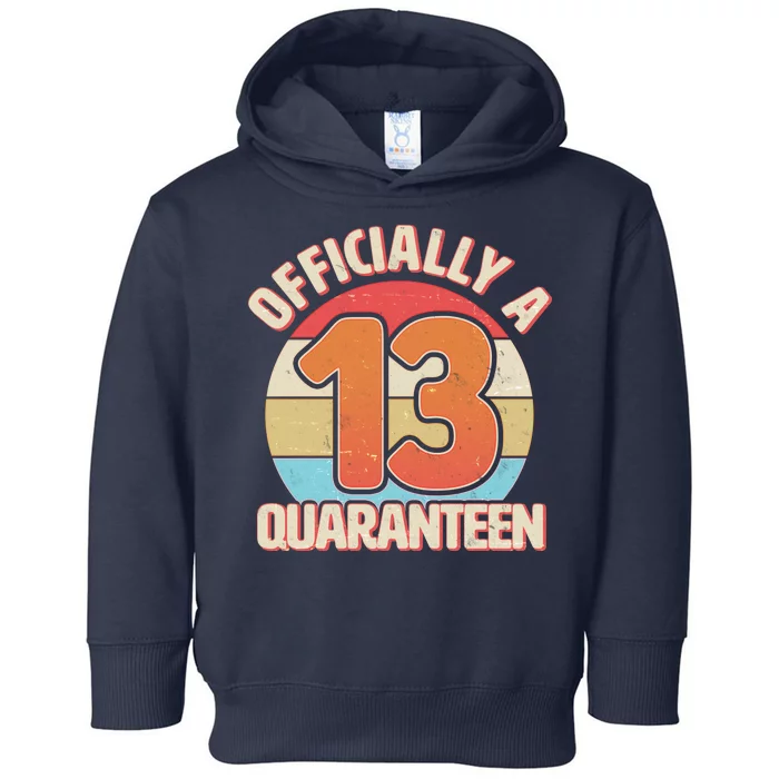 Officially A Quaranteen 13th Birthday Toddler Hoodie