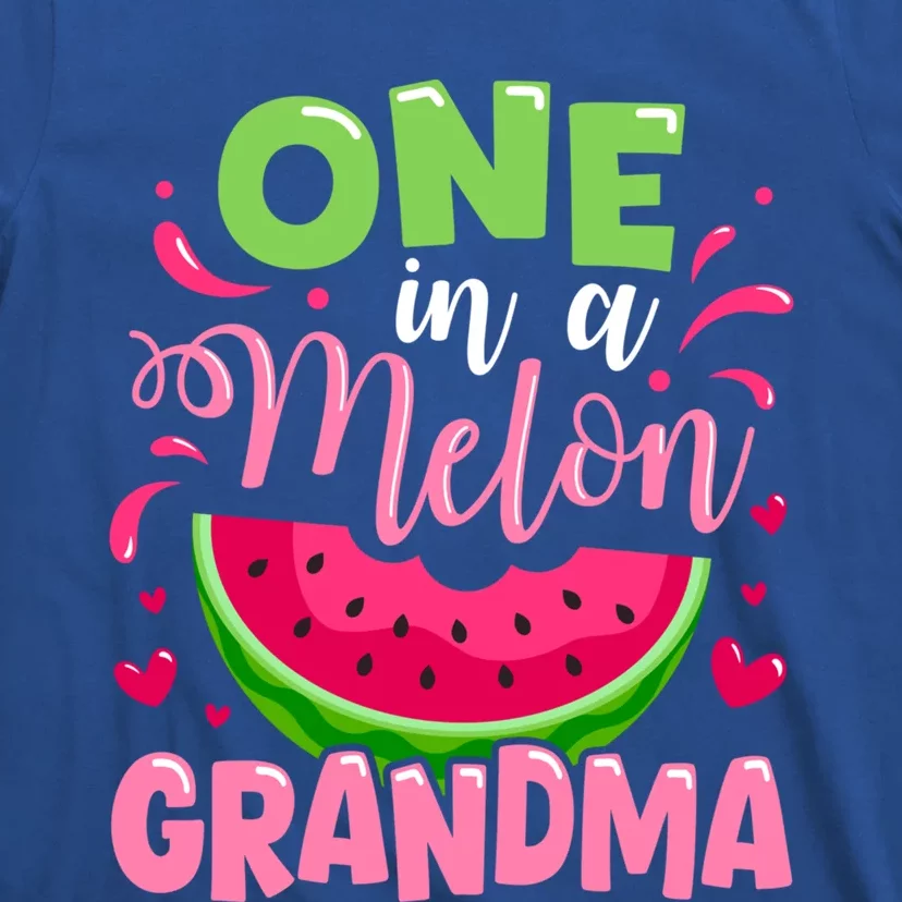 One In A Melon Grandma Summer Birthday Party Family Matching Gift T-Shirt