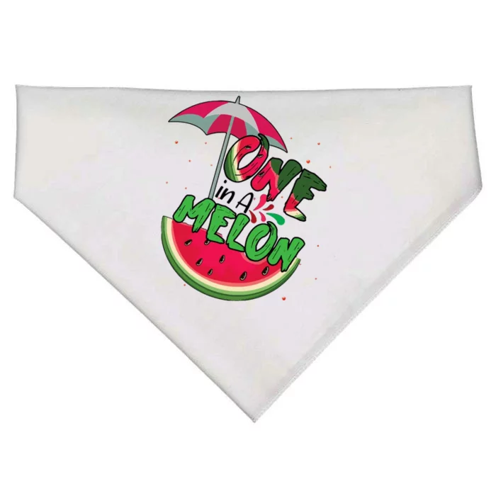 One In A Melon Adorable Cute Fun Summer Watermelon USA-Made Doggie Bandana