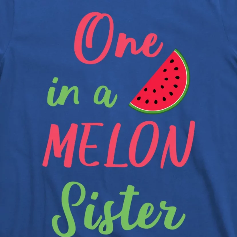 One In A Melon Sister Birthday Party Summer Matching Family Gift T-Shirt