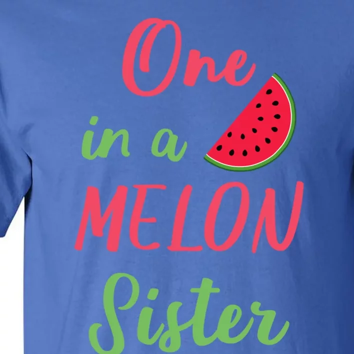 One In A Melon Sister Birthday Party Summer Matching Family Gift Tall T-Shirt