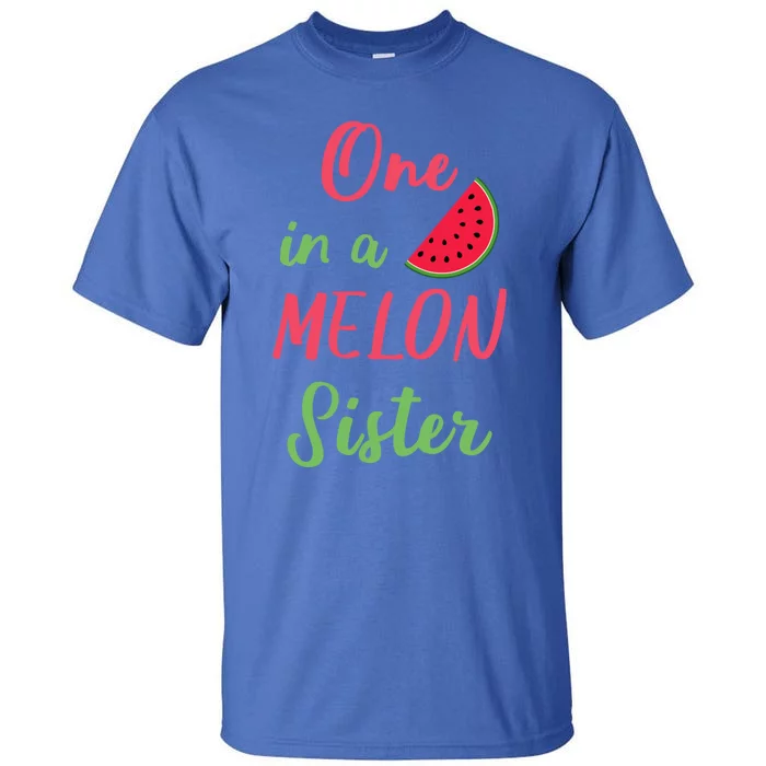 One In A Melon Sister Birthday Party Summer Matching Family Gift Tall T-Shirt