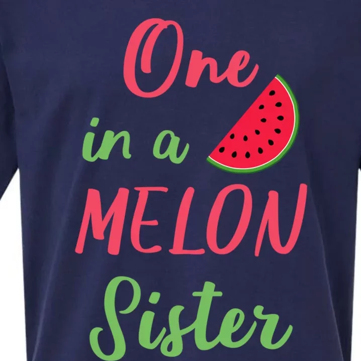 One In A Melon Sister Birthday Party Summer Matching Family Gift Sueded Cloud Jersey T-Shirt