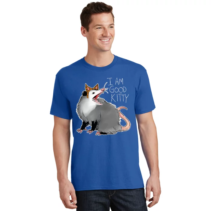 Opossum I Funny Possum I Am A Good Kitty T-Shirt