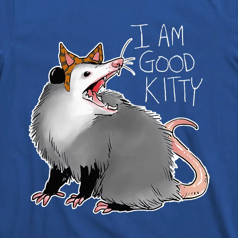 Opossum I Funny Possum I Am A Good Kitty T-Shirt