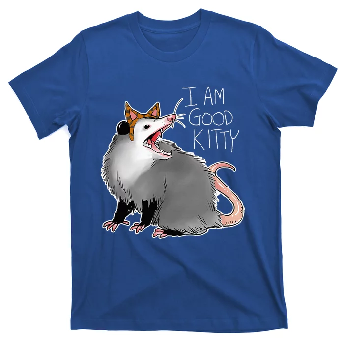 Opossum I Funny Possum I Am A Good Kitty T-Shirt