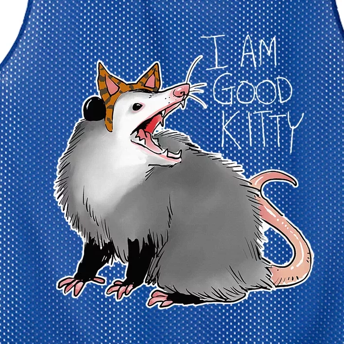 Opossum I Funny Possum I Am A Good Kitty Mesh Reversible Basketball Jersey Tank