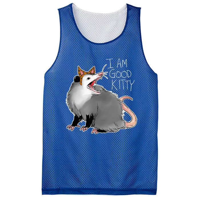 Opossum I Funny Possum I Am A Good Kitty Mesh Reversible Basketball Jersey Tank