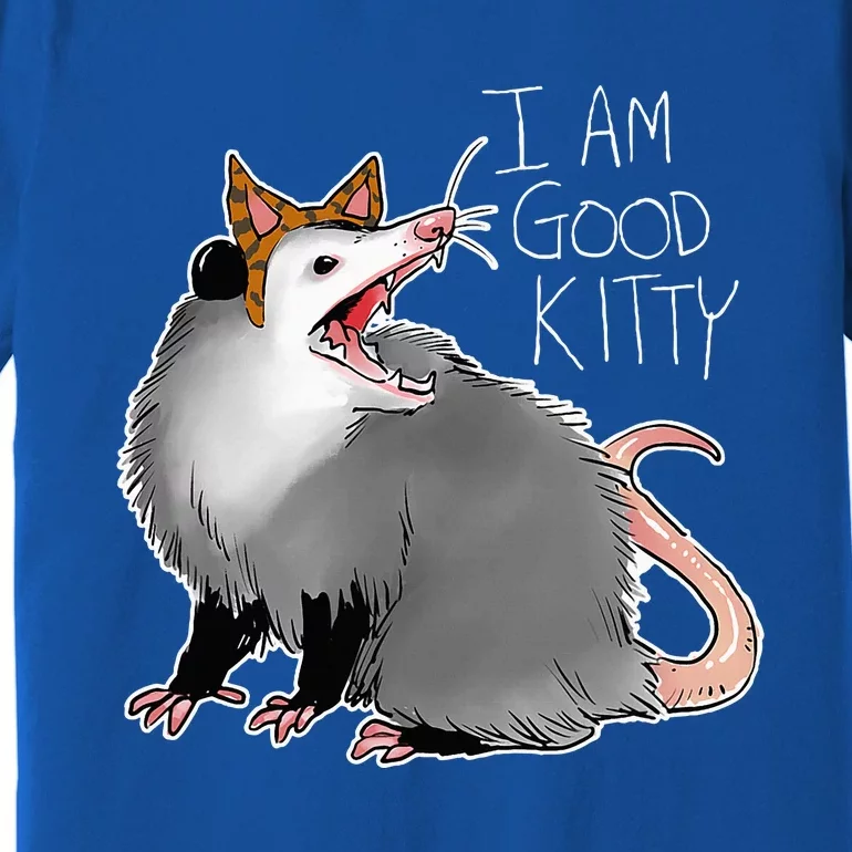 Opossum I Funny Possum I Am A Good Kitty Premium T-Shirt