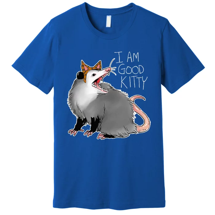 Opossum I Funny Possum I Am A Good Kitty Premium T-Shirt