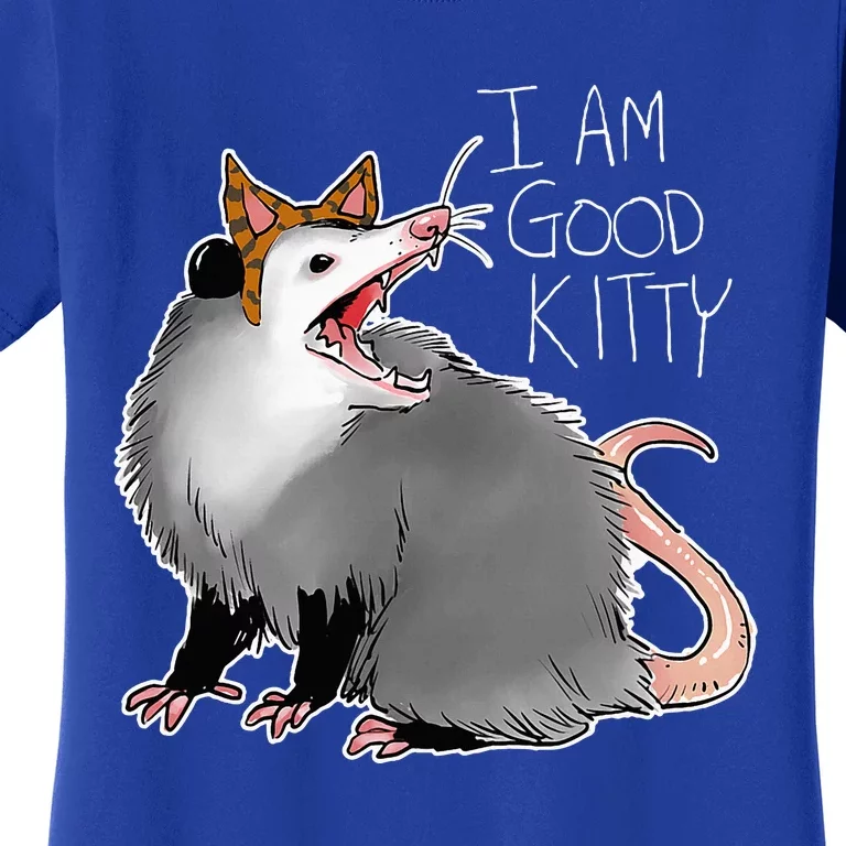 Opossum I Funny Possum I Am A Good Kitty Women's T-Shirt