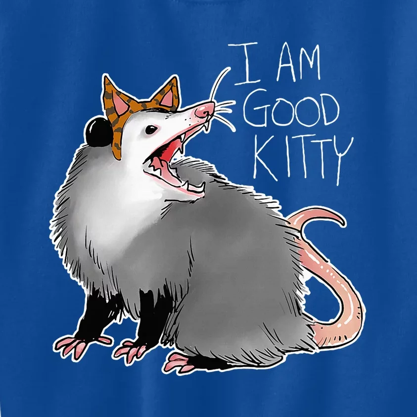 Opossum I Funny Possum I Am A Good Kitty Kids Sweatshirt