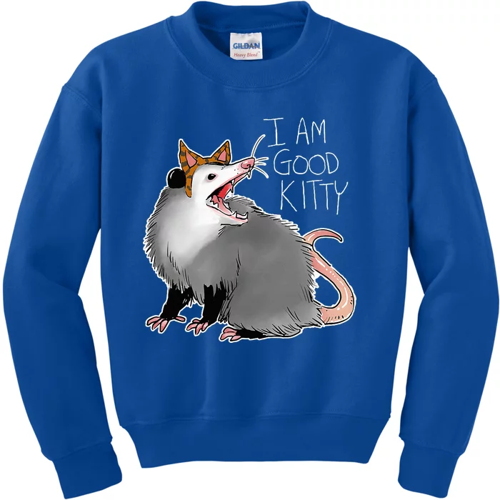 Opossum I Funny Possum I Am A Good Kitty Kids Sweatshirt