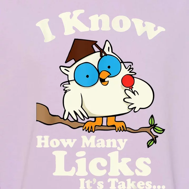 Owl I Know How Many Licks Its Takes... Garment-Dyed Sweatshirt