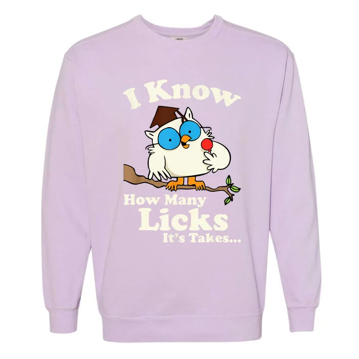 Owl I Know How Many Licks Its Takes... Garment-Dyed Sweatshirt