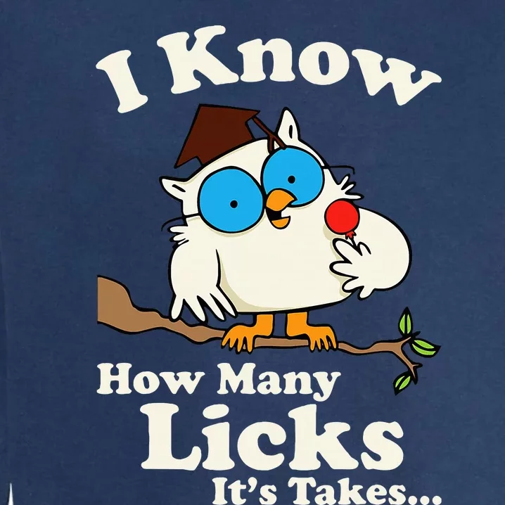 Owl I Know How Many Licks ItS Takes Garment-Dyed Sweatshirt