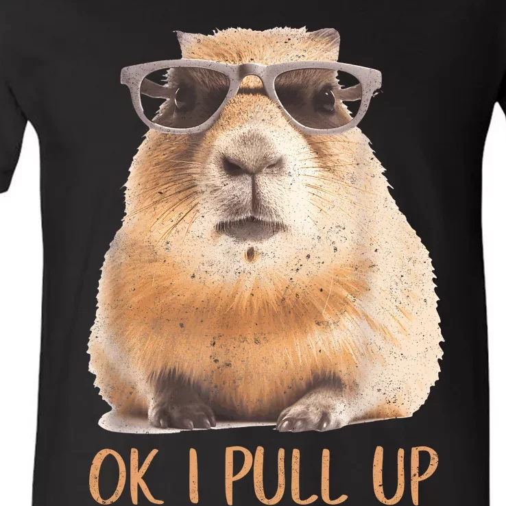 Ok I Pull Up Capybara V-Neck T-Shirt