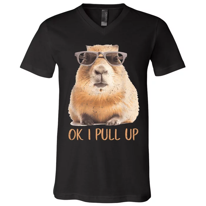 Ok I Pull Up Capybara V-Neck T-Shirt