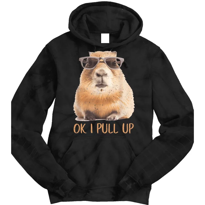 Ok I Pull Up Capybara Tie Dye Hoodie