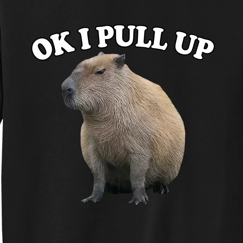 Ok I Pull Up Capybara Sweatshirt