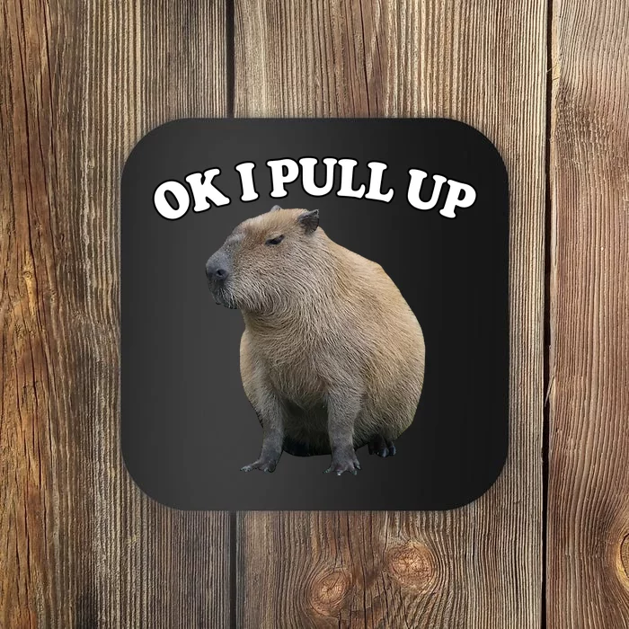 Ok I Pull Up Capybara Coaster