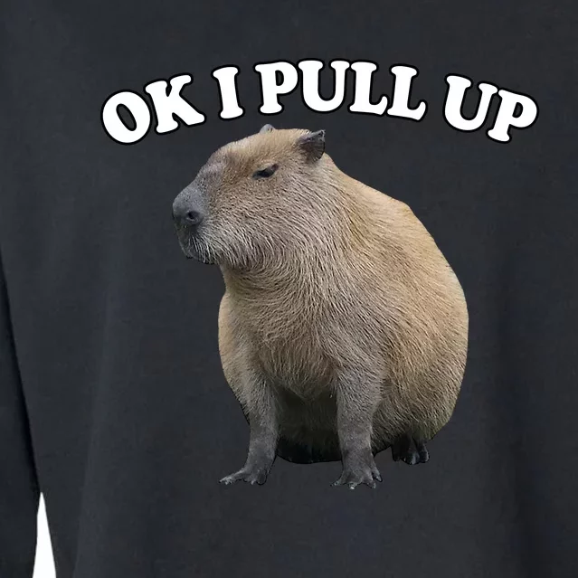 Ok I Pull Up Capybara Cropped Pullover Crew