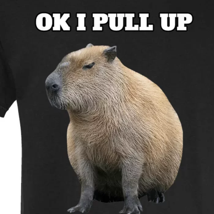 Ok I Pull Up Capybara Garment-Dyed Heavyweight T-Shirt