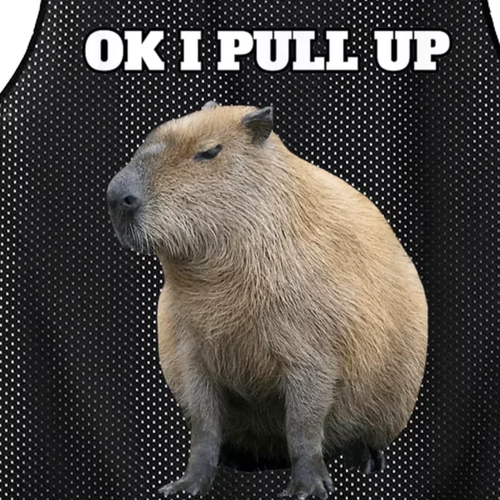 Ok I Pull Up Capybara Mesh Reversible Basketball Jersey Tank