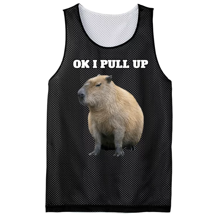 Ok I Pull Up Capybara Mesh Reversible Basketball Jersey Tank