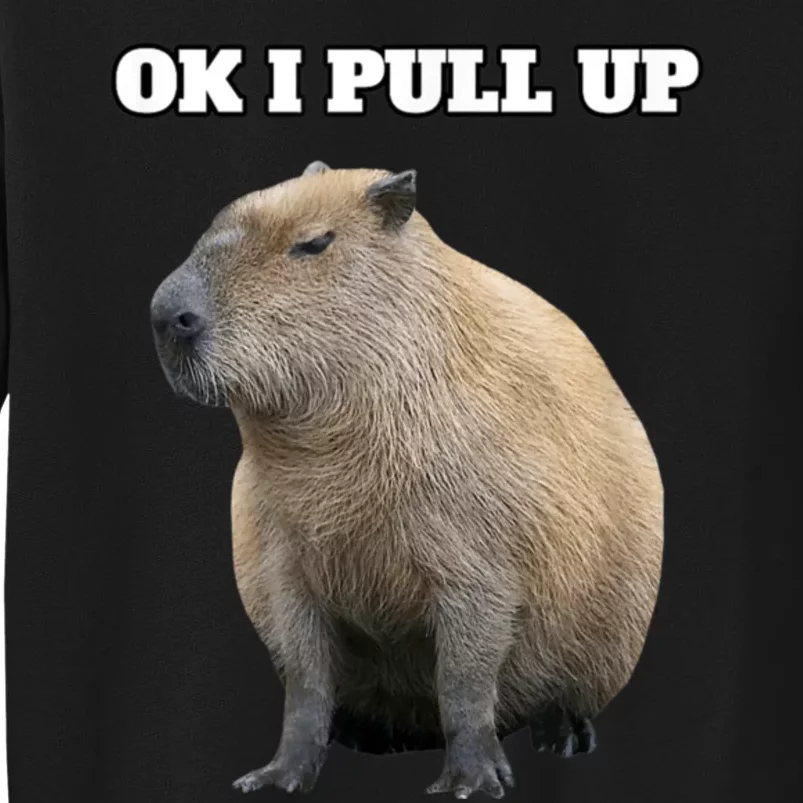 Ok I Pull Up Capybara Tall Sweatshirt