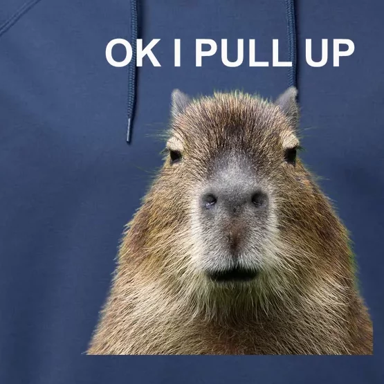 Ok I Pull Up Capybara Performance Fleece Hoodie