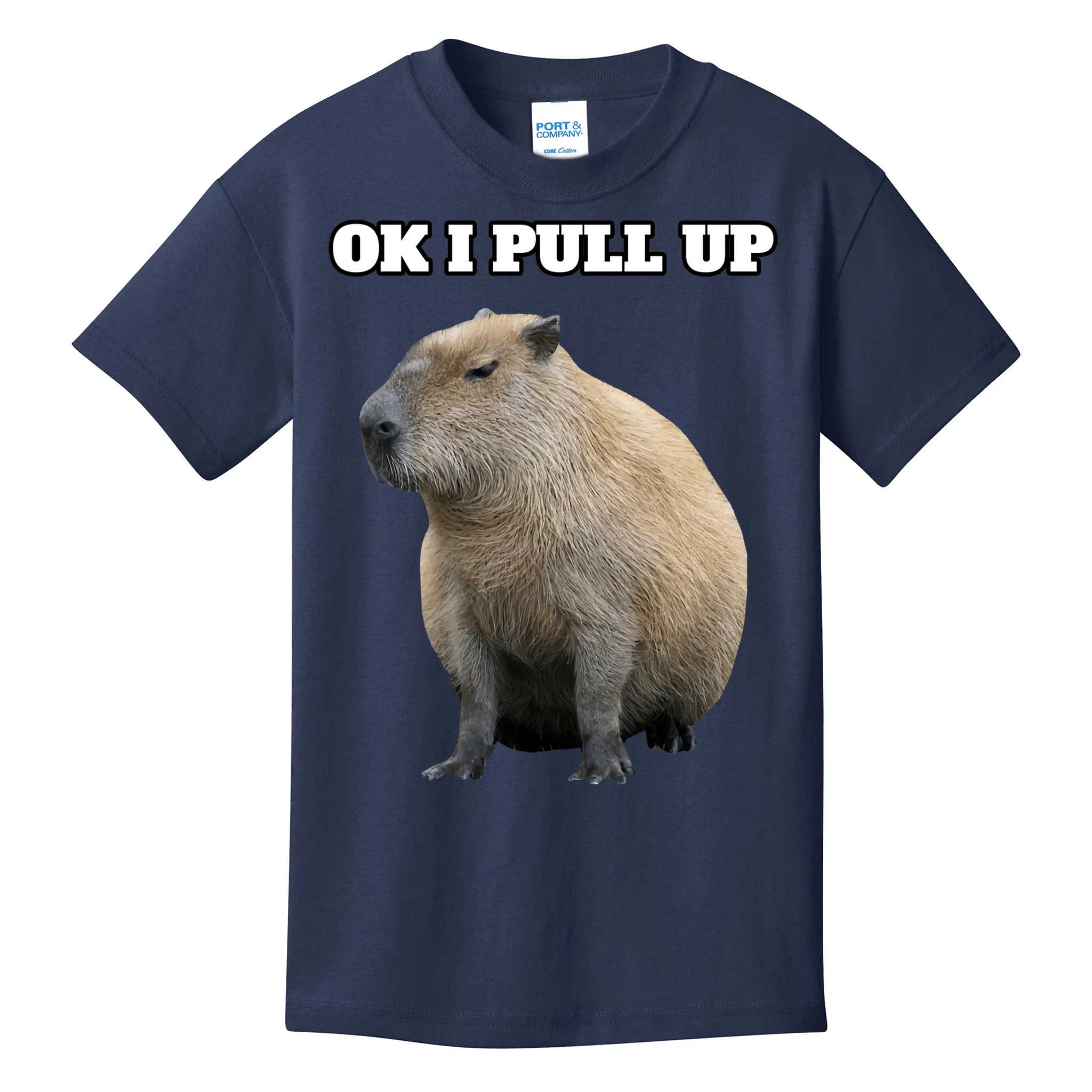Download Cute Capybara Meme PFP Wallpaper | Wallpapers.com