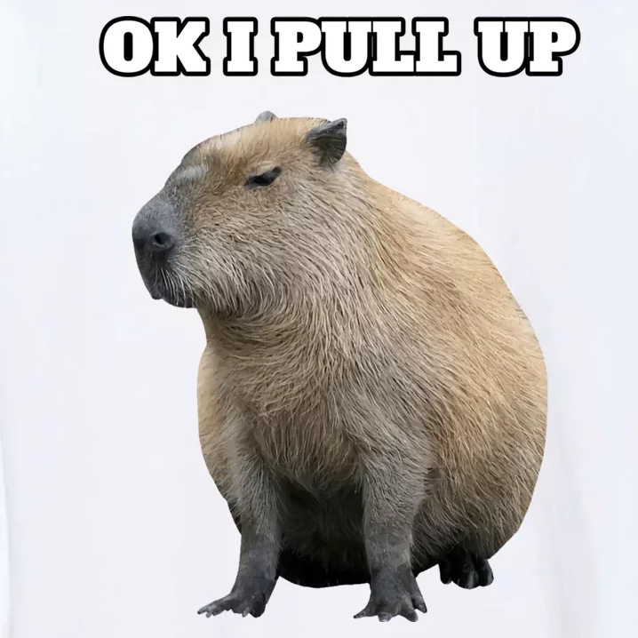 Ok I Pull Up Capybara Gift Funny Capybara Meme Ok I Pull Up Garment-Dyed Sweatshirt