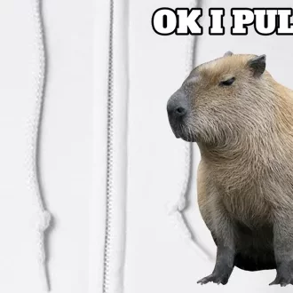 Capybara Meme Face Masks for Sale