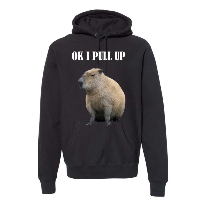 Ok I Pull Up Capybara Funny Premium Hoodie