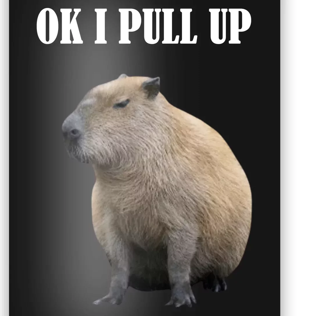 Ok I Pull Up Capybara Funny Poster