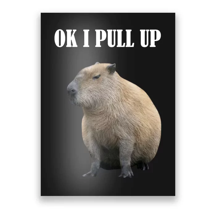 Ok I Pull Up Capybara Funny Poster