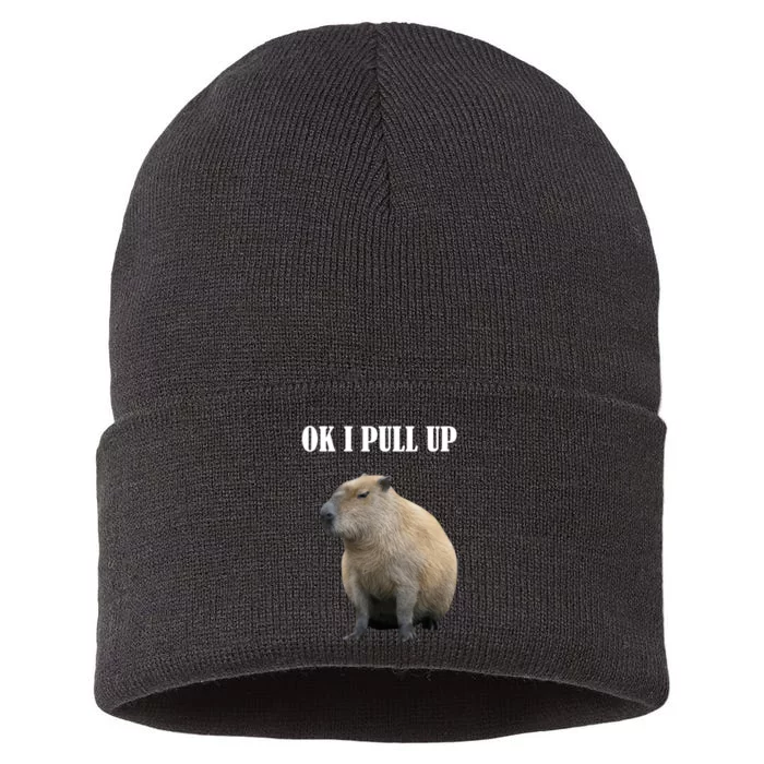 Ok I Pull Up Capybara Funny Sustainable Knit Beanie