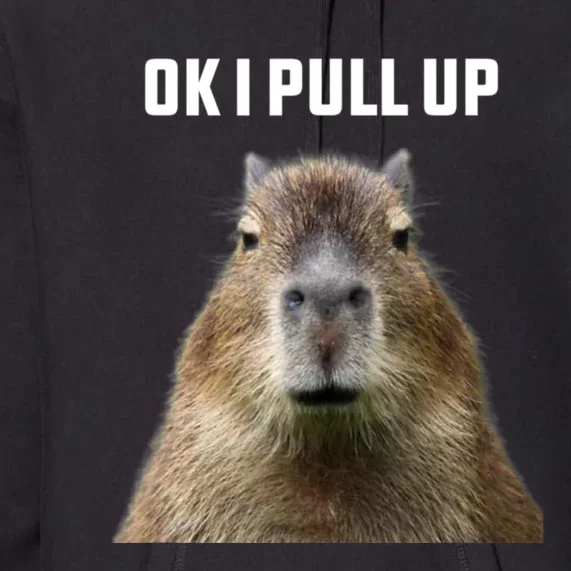 Ok I Pull Up Capybara Premium Hoodie