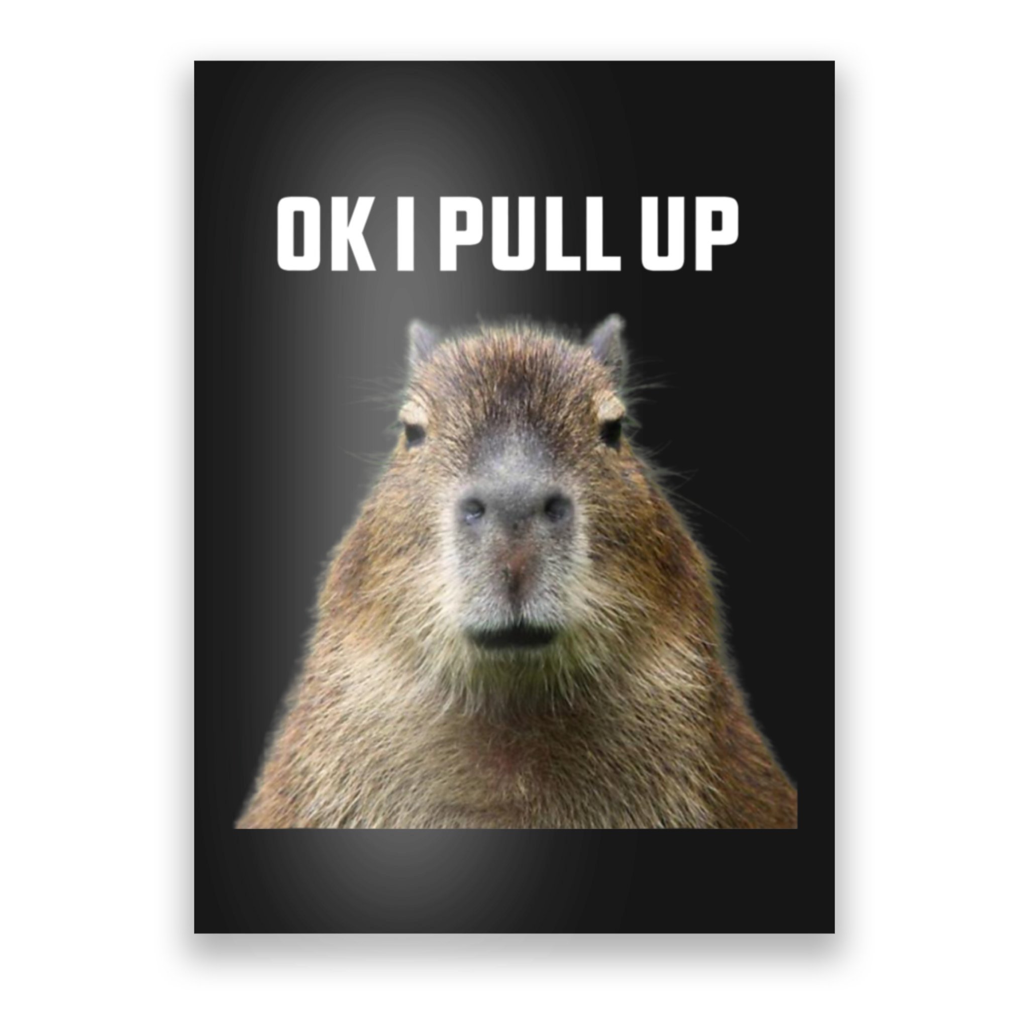 Capybara Meme Posters for Sale