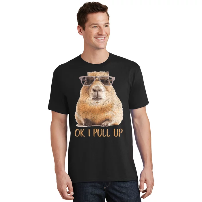 Ok I Pull Up Capybara T-Shirt