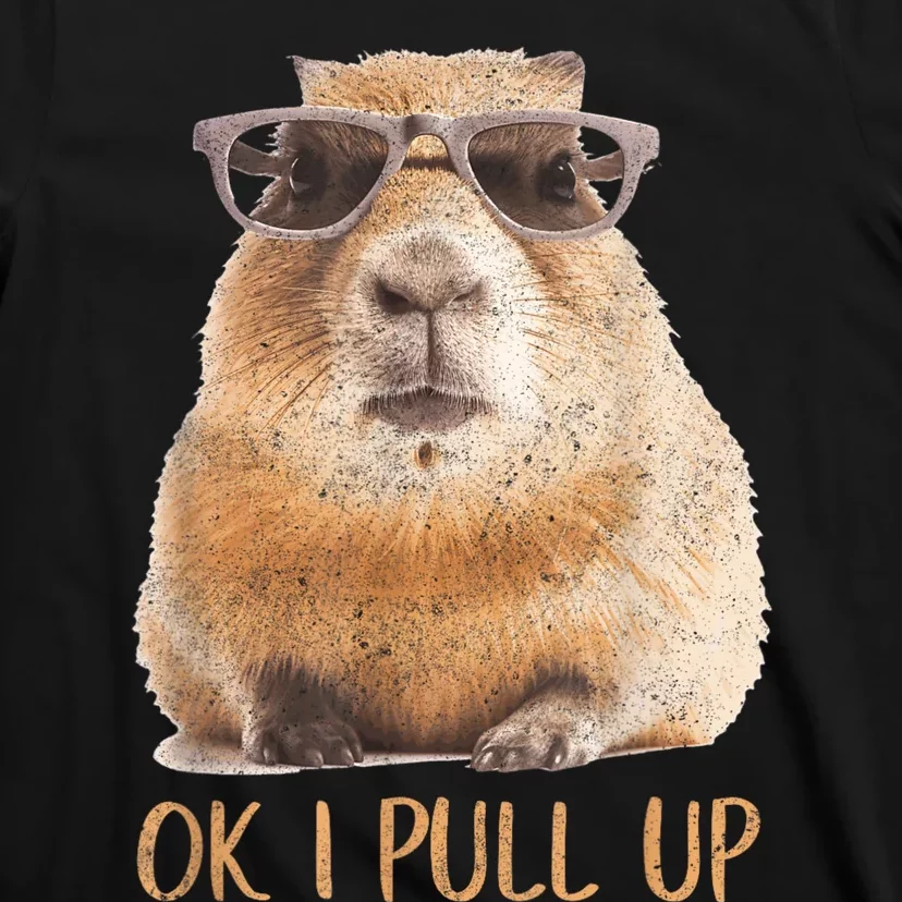 Ok I Pull Up Capybara T-Shirt