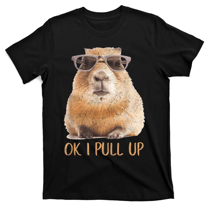 Ok I Pull Up Capybara T-Shirt