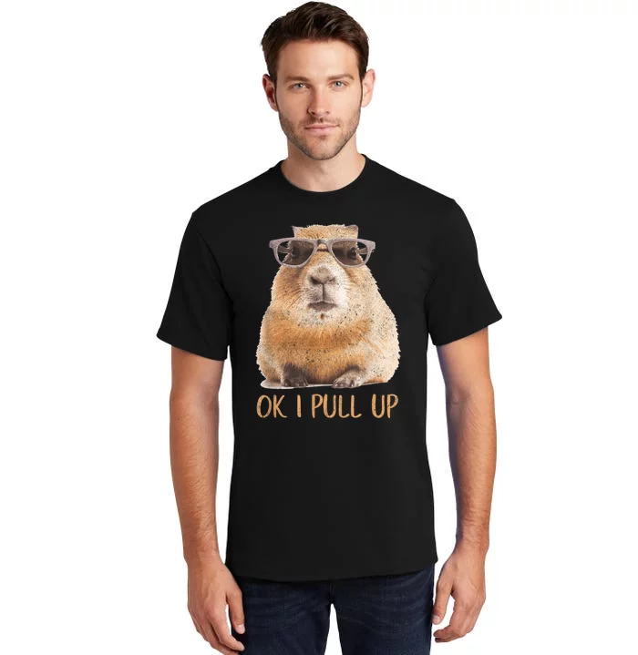 Ok I Pull Up Capybara Tall T-Shirt