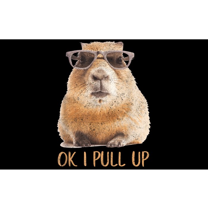 Ok I Pull Up Capybara Bumper Sticker