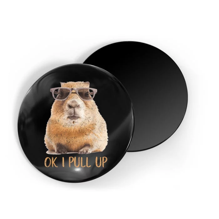 Ok I Pull Up Capybara Magnet