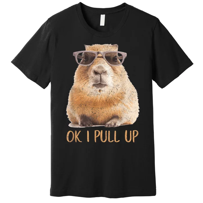 Ok I Pull Up Capybara Premium T-Shirt