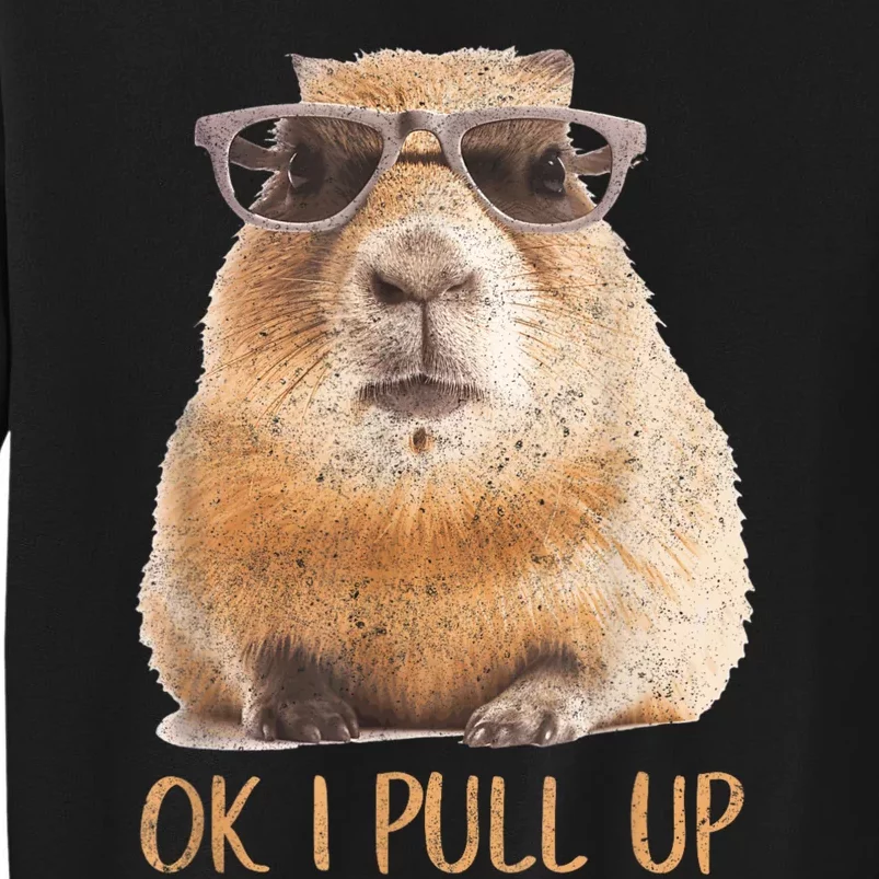 Ok I Pull Up Capybara Tall Sweatshirt